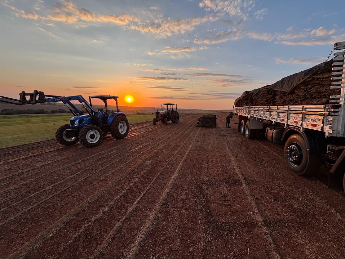 Campo de produção ao pôr do sol com tratores e caminhão carregado; registro real da operação, sem afirmar que o corte está ocorrendo.