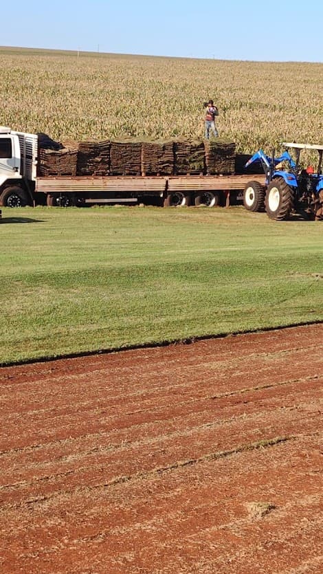Caminhão carregado com placas de grama no campo, acompanhado de um trator; registro operacional fornecido pela Grameira Maripá.