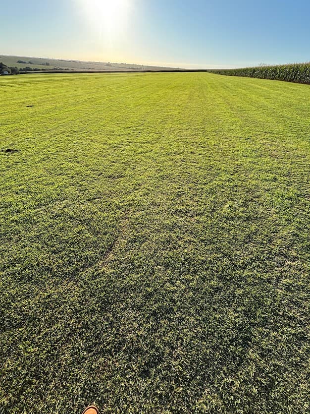 Área gramada de produção fotografada ao fim do dia; imagem de textura do campo, sem representar instalação residencial ou obra de cliente.
